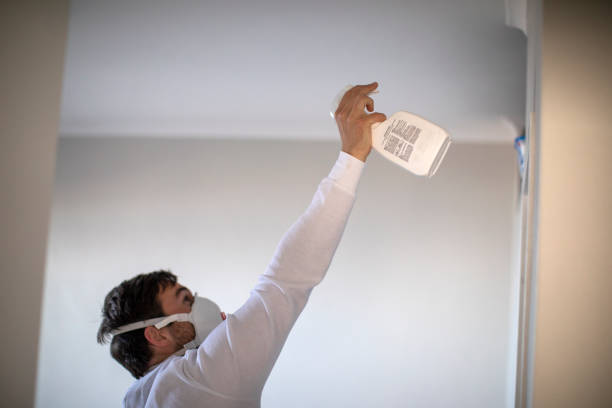 Best Health and Safety Mold Remediation in Mercedes, TX