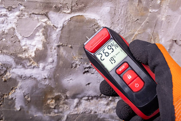 Best Bathroom Mold Remediation in Mercedes, TX
