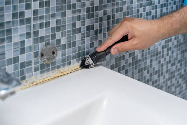 Best Post-Remediation Services in Mercedes, TX